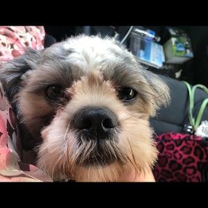 Meet your Posher, Danielle